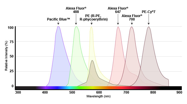 多荧光团发射光谱